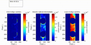 The image shows local mass transfer and flow phenomena in slug flow.