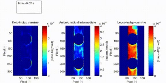 The image shows local mass transfer and flow phenomena in slug flow.