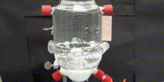 The image shows the design and hydrodynamic characterization of a draft tube baffle tank for Lab‐Scale.
