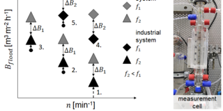 The image shows the results of a flooding study using the extraction column.
