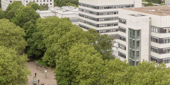 The BCI buildingshot from above